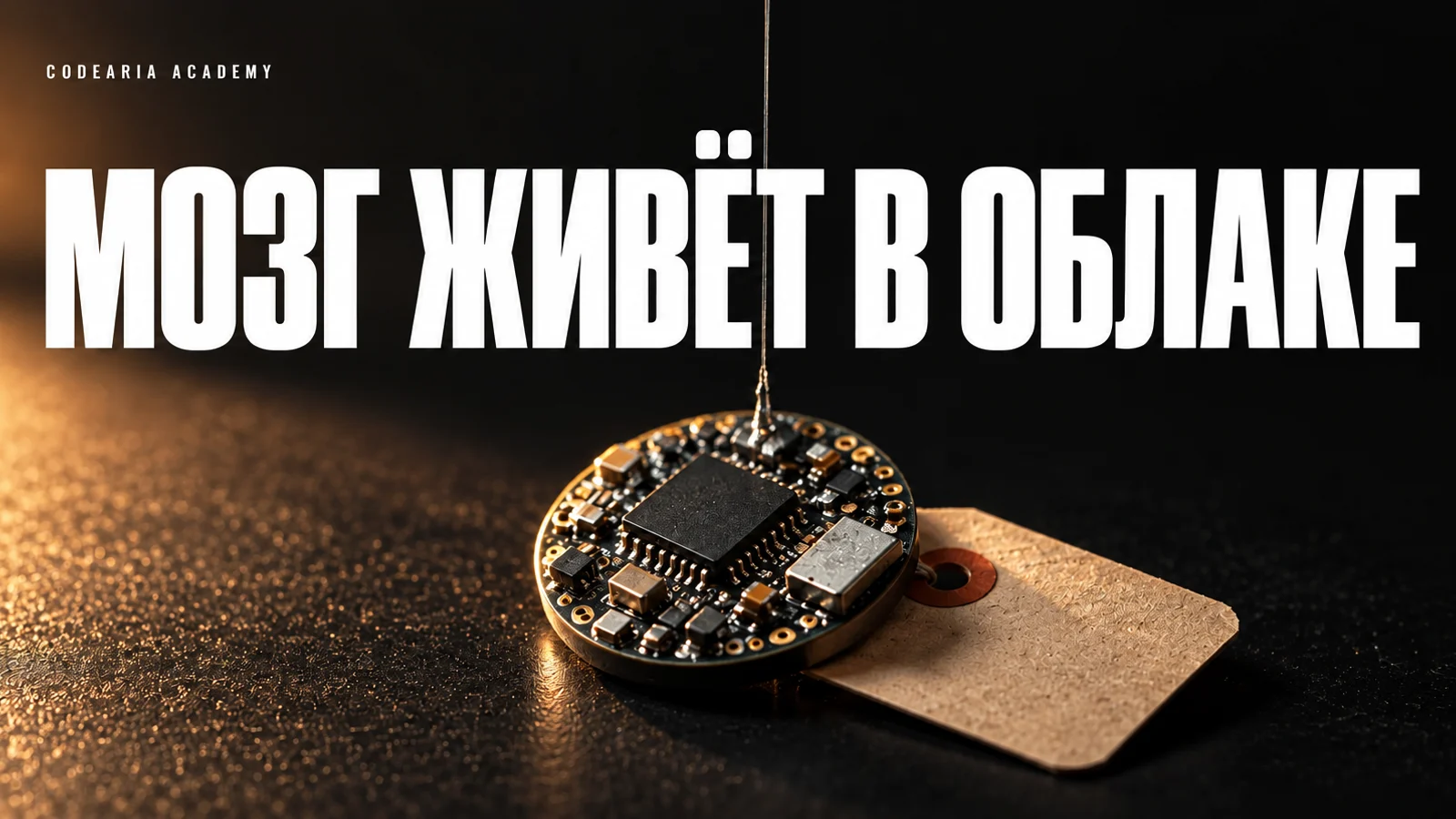 Обложка статьи: крошечная плата и старый телефон, от которых вопрос уходит в облако, и надпись «Мозг живёт в облаке»